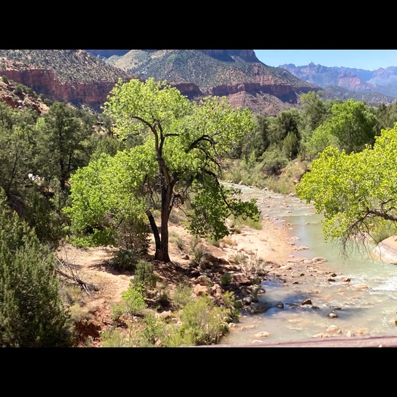 Zion National Park, Utah SO BEAUTIFUL!!! - Picture 3 of 6